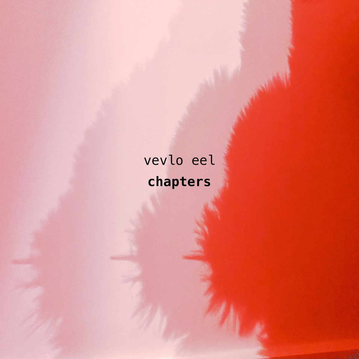 Chapters
